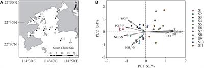 Bacterial communities exhibit apparent phosphate concentration-related patterns of community composition, alpha diversity, and phylogenetic structure in the subtropical Daya Bay